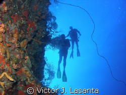 two at the edge of the wall in v.j.levels dive site at pa... by Victor J. Lasanta 
